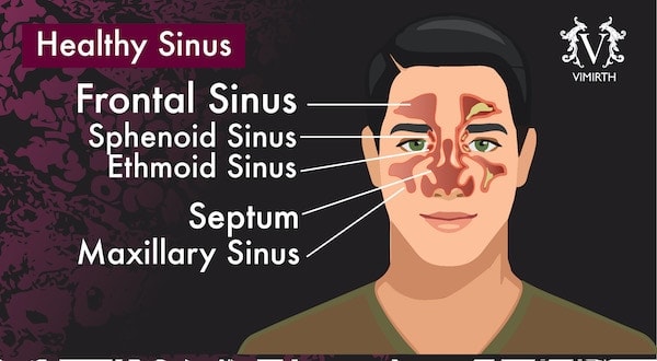 sinuses lactobacillus sakei