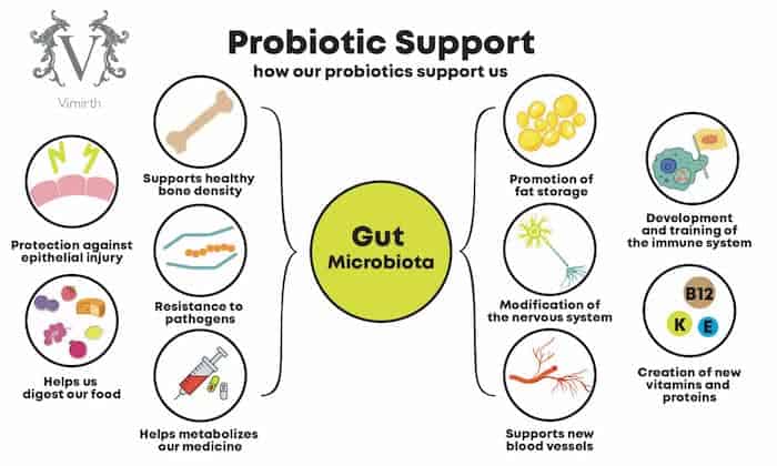 psoriasis probiotics