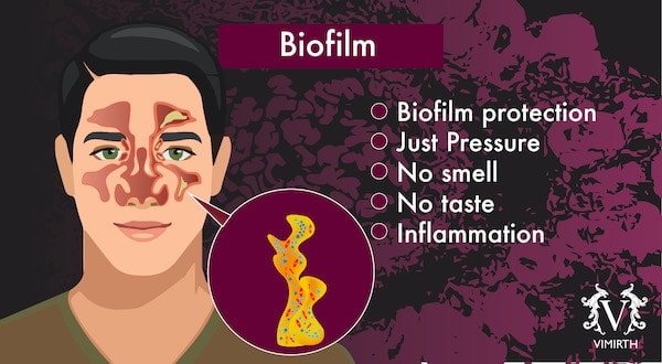 sinuses biofilm