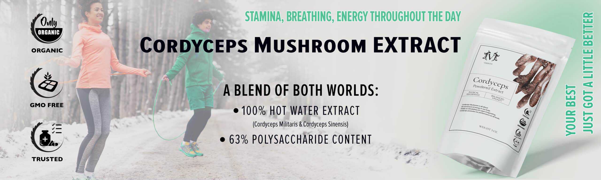 cordyceps benefits