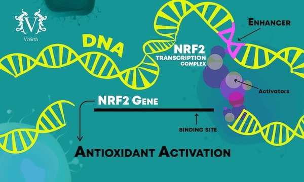 nrf2 hemorrhoids