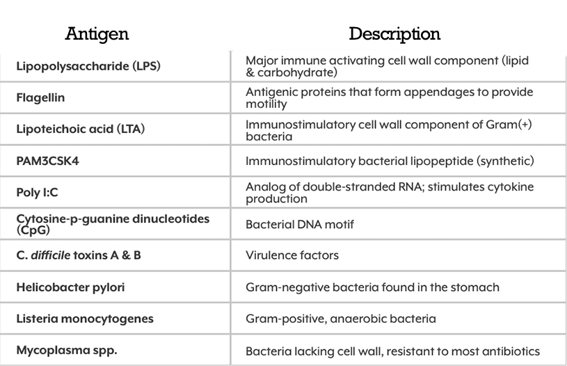 antigen description vimirth